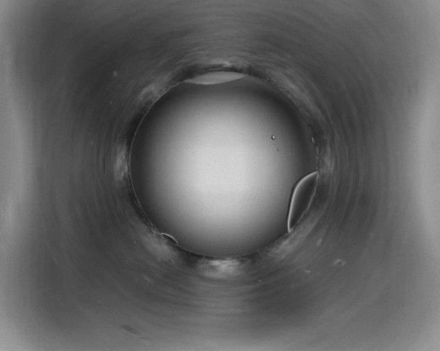 X0000116130478200911231239