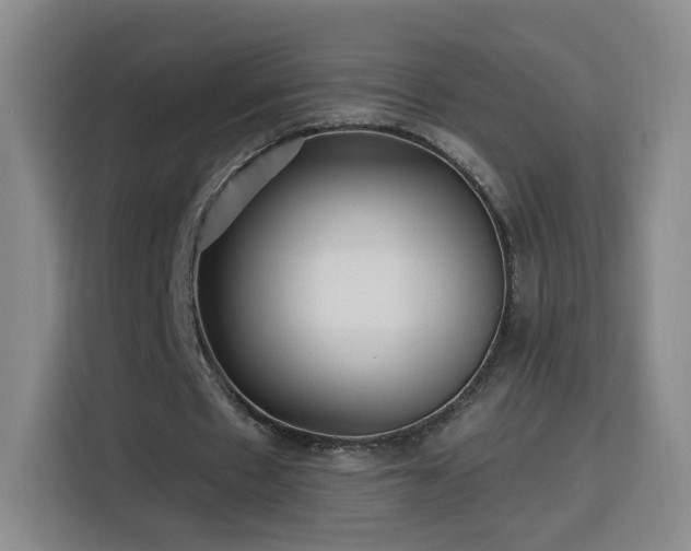 X0000116130481200911231238
