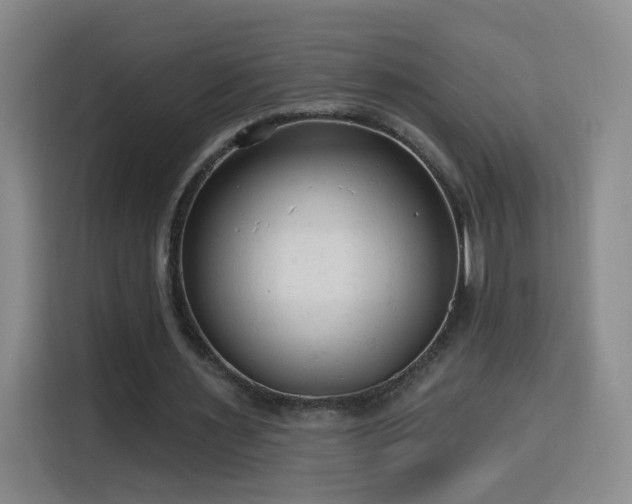 X0000116130483200911231238