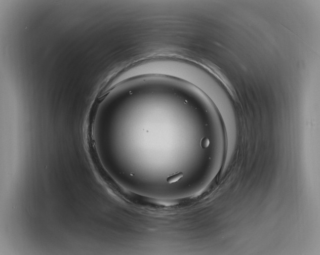 X0000116130485200911231238