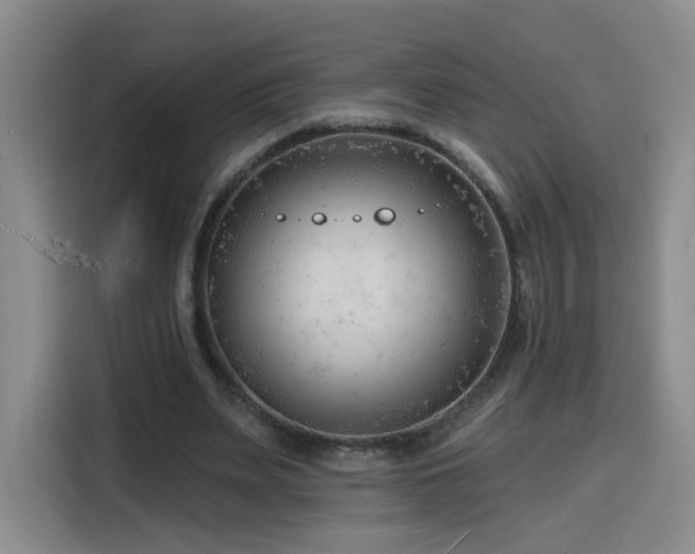 X0000116130487200911231238