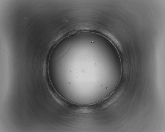X0000116130489200911231238