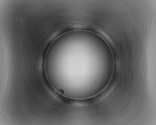 X0000116130490200911231238