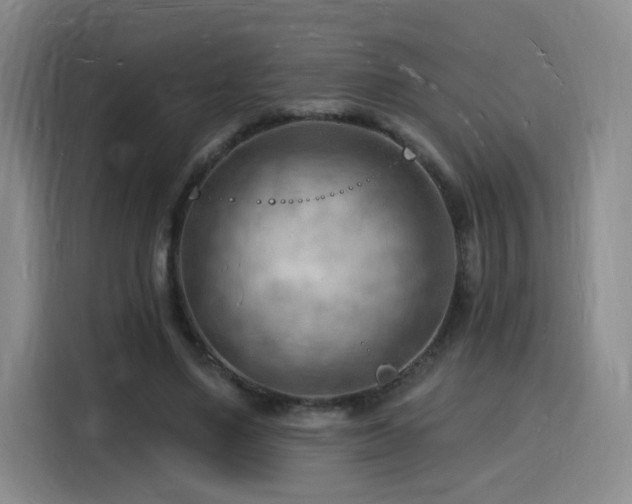 X0000116130491200911231238