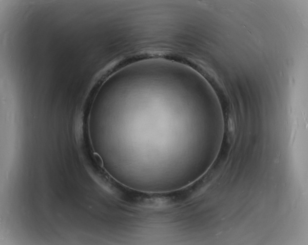 X0000116130492200911231238