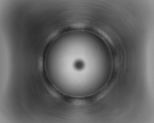 X0000116130494200911231238