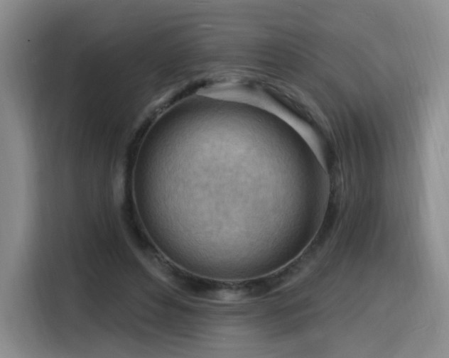 X0000116130496200911231238