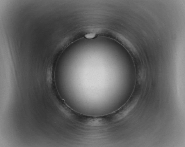 X0000116130497200911231238