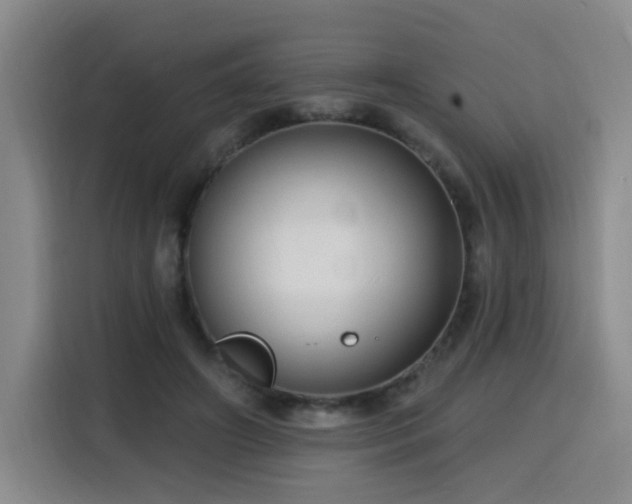 X0000116130498200911231238
