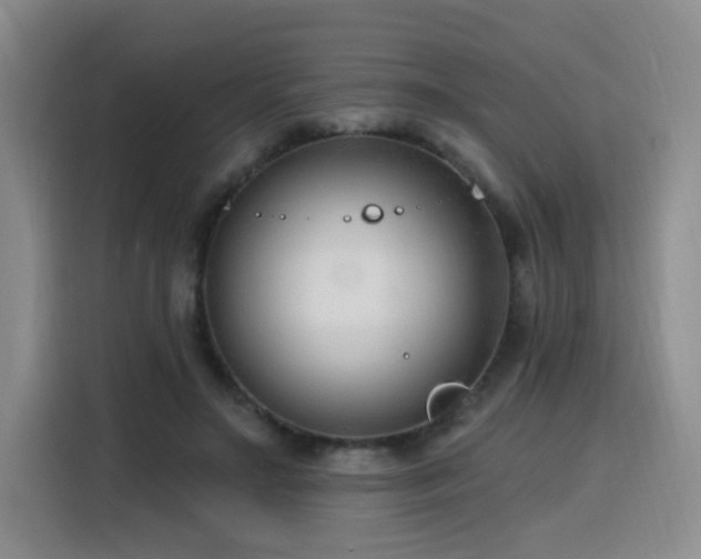 X0000116130499200911231238