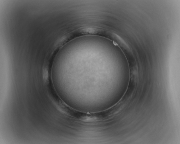 X0000116130500200911231238