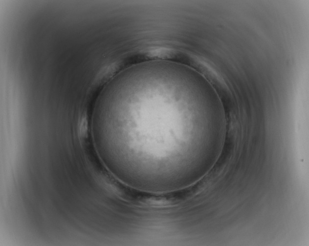 X0000116130502200911231238
