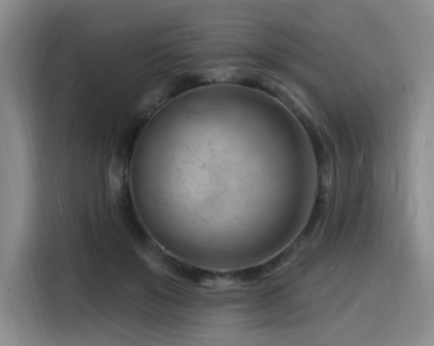 X0000116130503200911231238