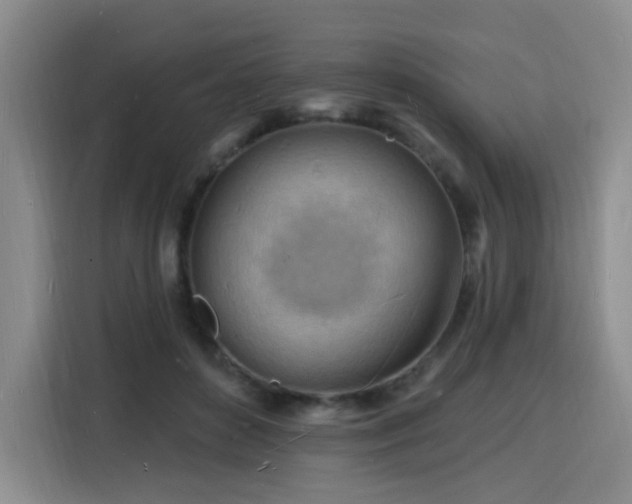 X0000116130504200911231238