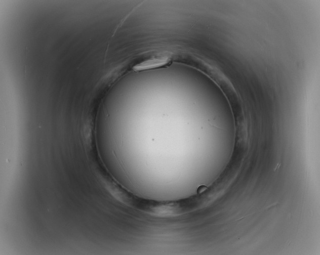 X0000116130505200911231238