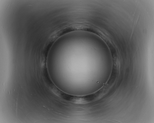 X0000116130507200911231238