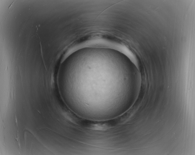 X0000116130508200911231238