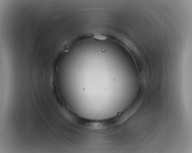 X0000116130509200911231238