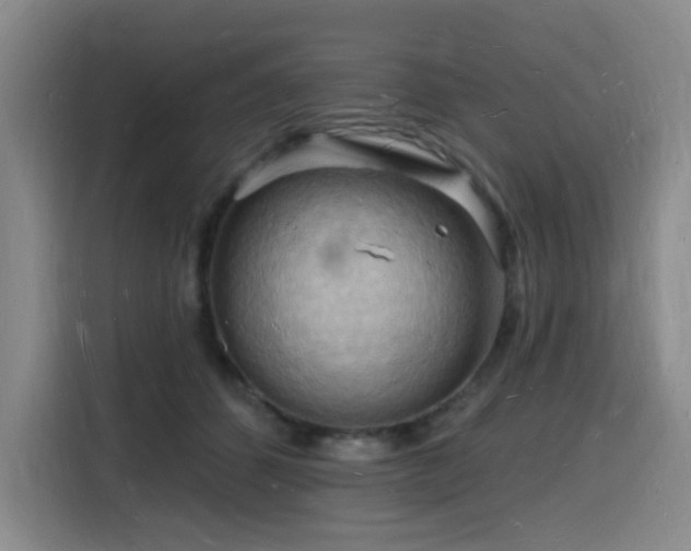 X0000116130512200911231238