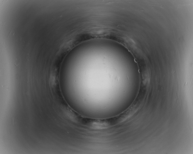 X0000116130515200911231238