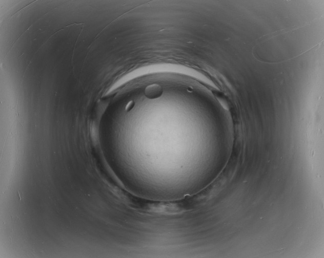 X0000116130517200911231238