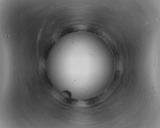 X0000116130518200911231238