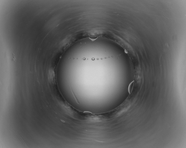 X0000116130523200911231238