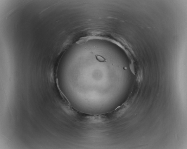 X0000116130524200911231238