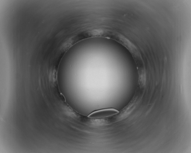 X0000116130525200911231238