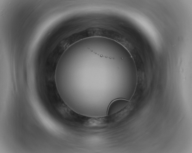X0000116130526200911231238
