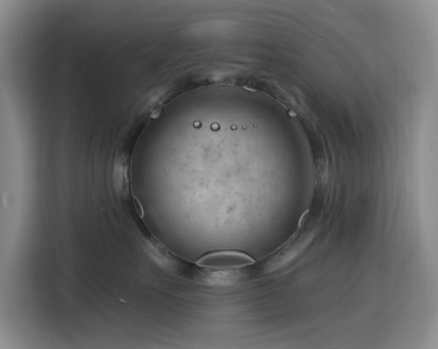 X0000116130527200911231238