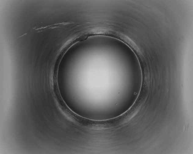 X0000116130530200911231237