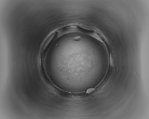 X0000116130531200911231237