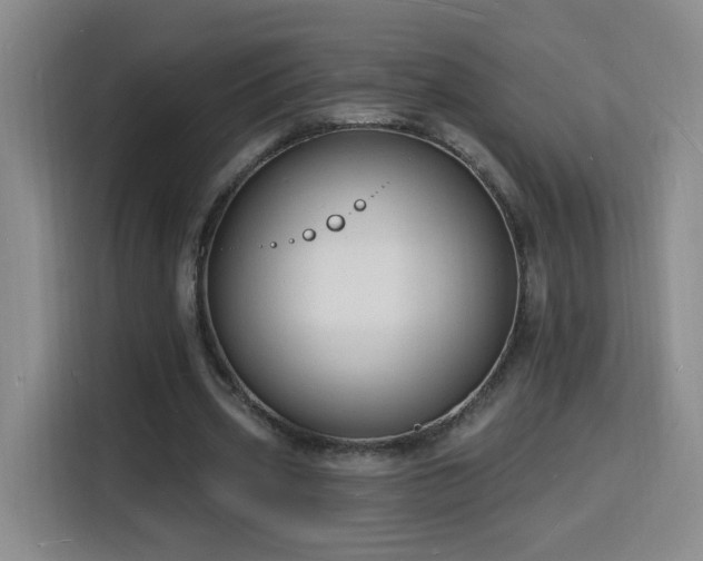 X0000116130533200911231237