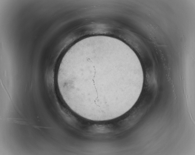 X0000116130534200911231237