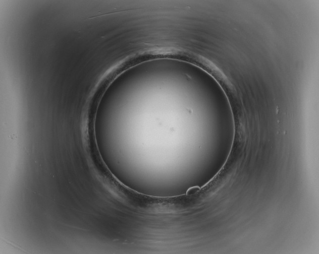 X0000116130535200911231237