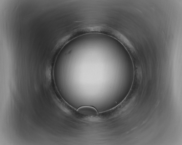 X0000116130537200911231237