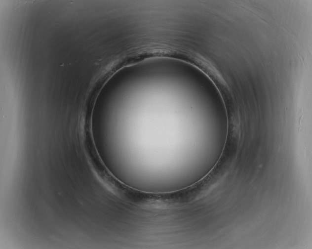 X0000116130538200911231237