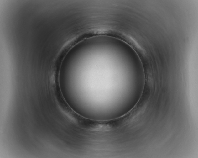 X0000116130543200911231237