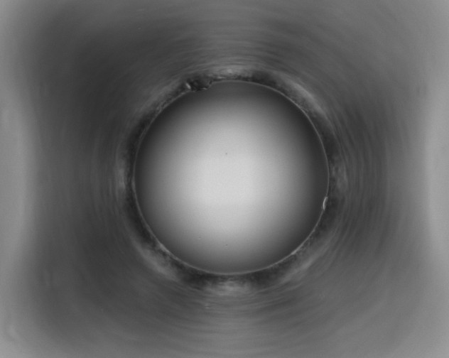 X0000116130546200911231237