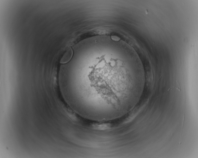 X0000116130553200911231237