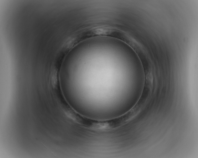 X0000116130554200911231237