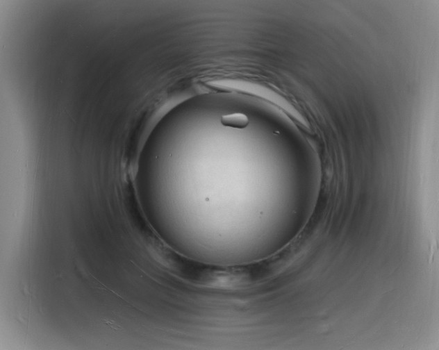 X0000116130555200911231237