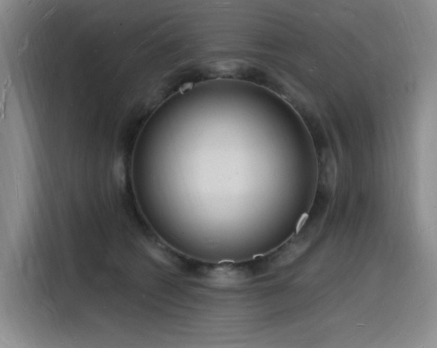 X0000116130562200911231237