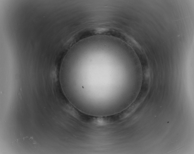 X0000116130565200911231237