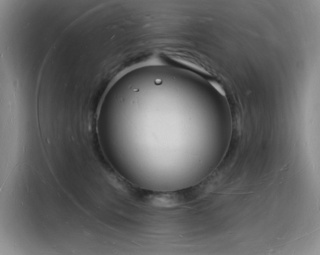 X0000116130567200911231237