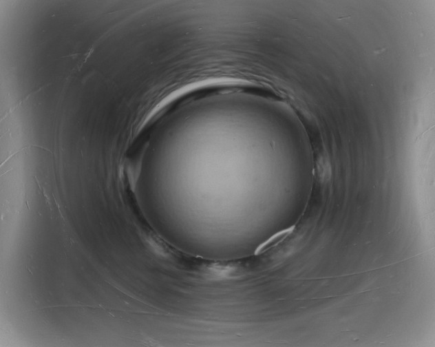 X0000116130570200911231237