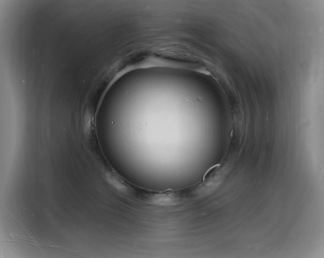 X0000116130574200911231237