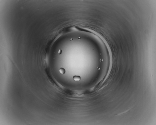 X0000116130575200911231238