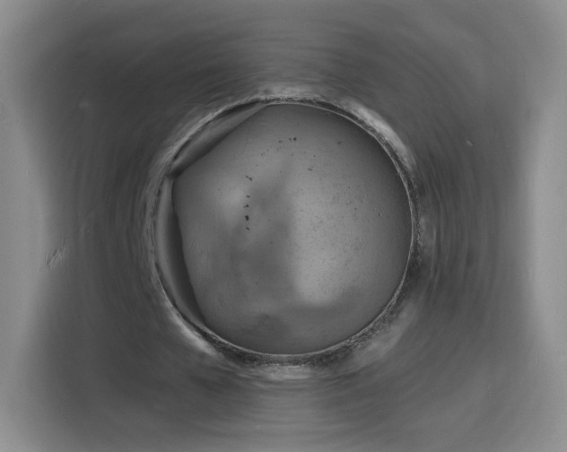 X0000116130577200911231237